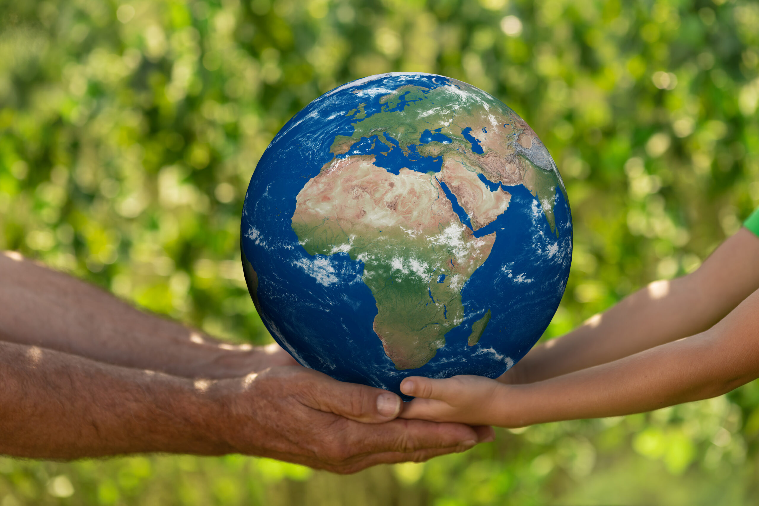 Sustainable forest ecosystem