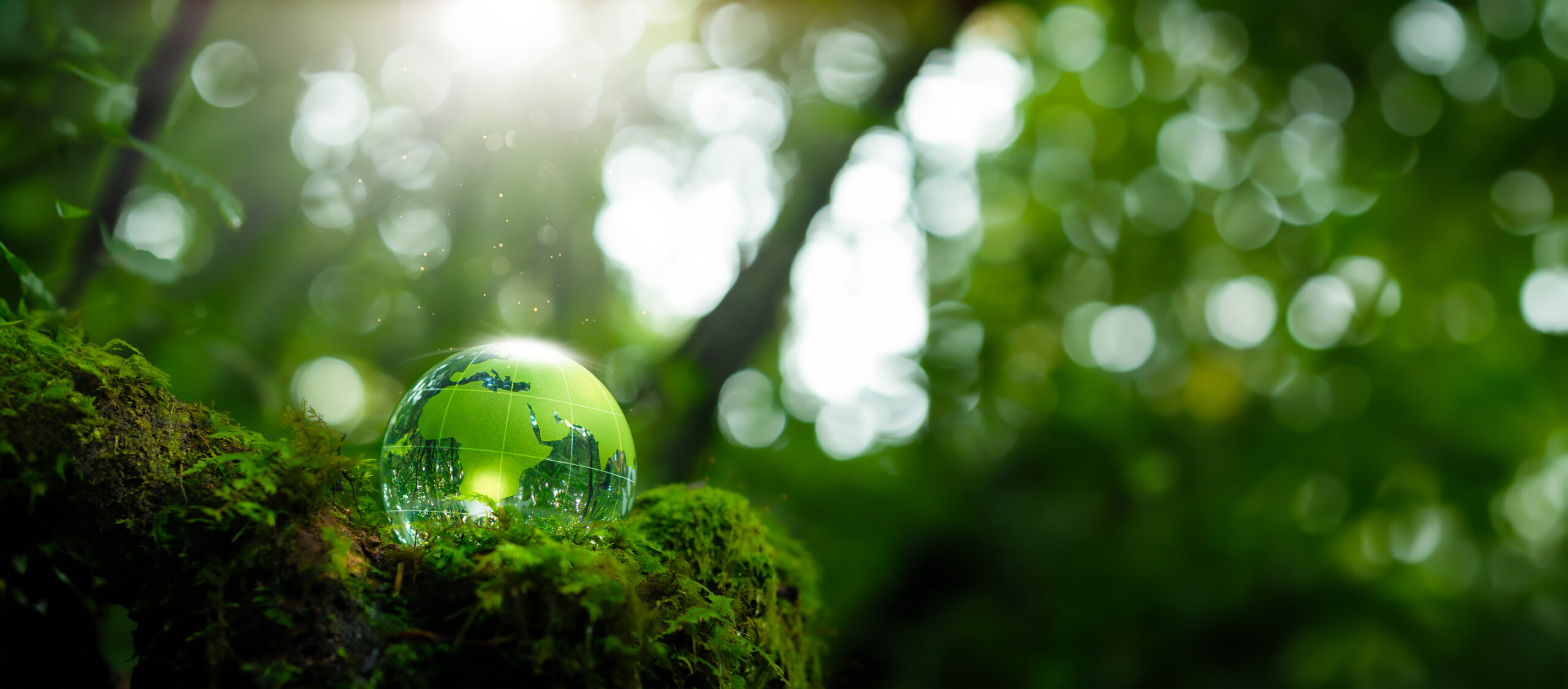 Environmental commitment