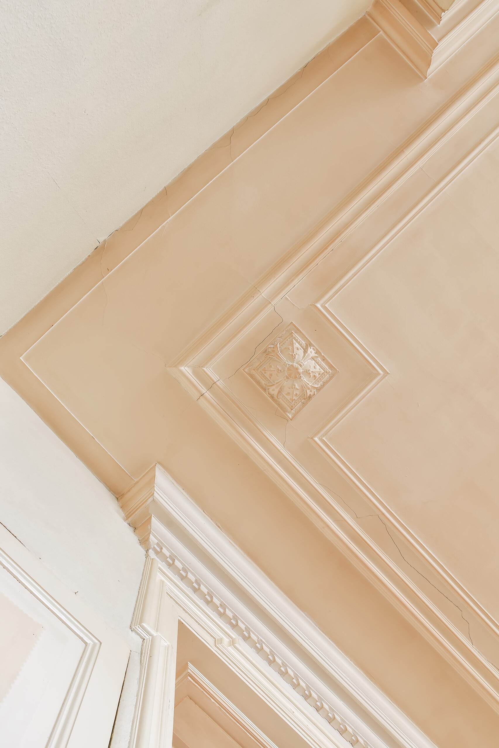 Decorative textured gypsum plaster finish